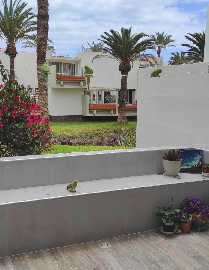 Ideal Holiday Apartment In The South Of Tenerife Costa Del Silencio Esterno foto